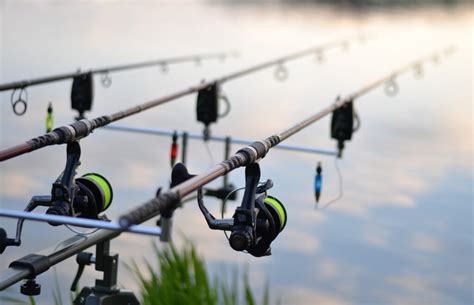 Best Carp Rods: Top Picks for Serious Anglers – DailyFishers.